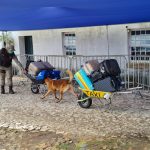 Canil da 33ª CIPM executa operação conjunta com a RONDESP-SUL realizando abordagem a entrada de visitantes ao Morro de São Paulo