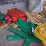 Polícia Civil incinera quase 200kg drogas em Gandu