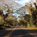 Estado publica licitação para implantação de rodovia estadual entre Ilhéus e Itabuna