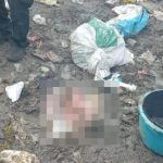 Recém-nascido é encontrado morto dentro de saco plástico em lixão de Santo Estêvão
