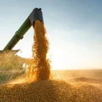 Agro, comércio e serviço podem pagar a conta da indústria na reforma tributária