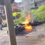 Produtores de cacau protestam em Pedra Branca contra crise no setor e bloqueiam rodovia no sul da Bahia.